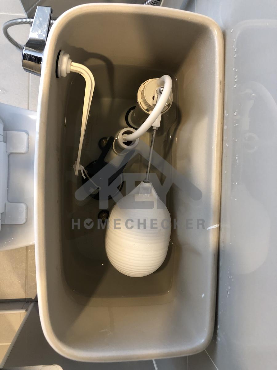 งานประปา ปั้ม และสุขาภิบาล