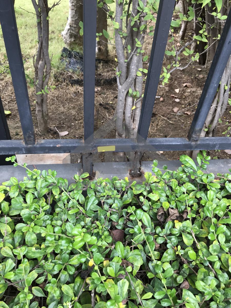 งานภูมิทัศน์และพื้นที่ภายนอกบ้าน