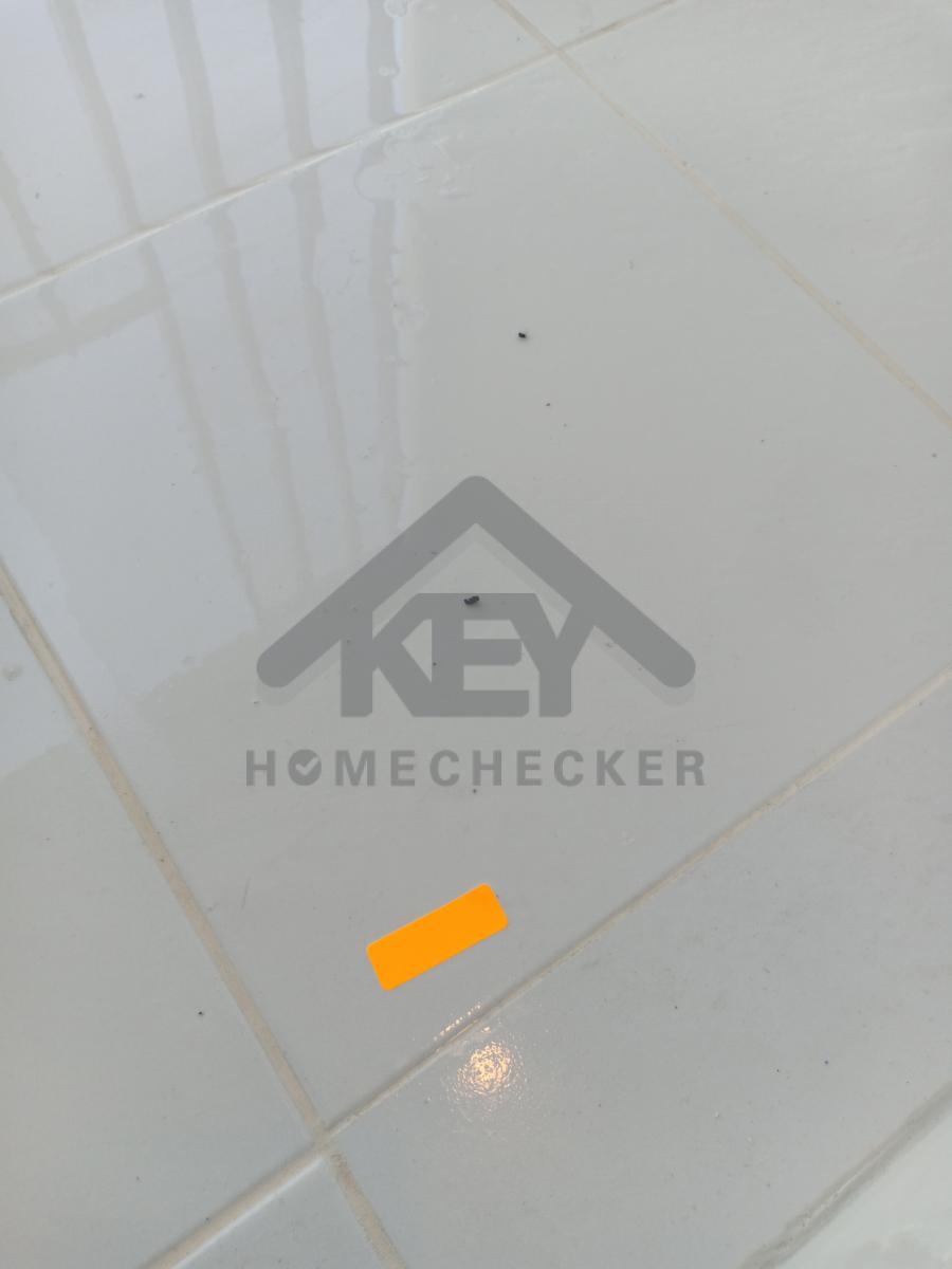 งานห้องครัวชั้น 1