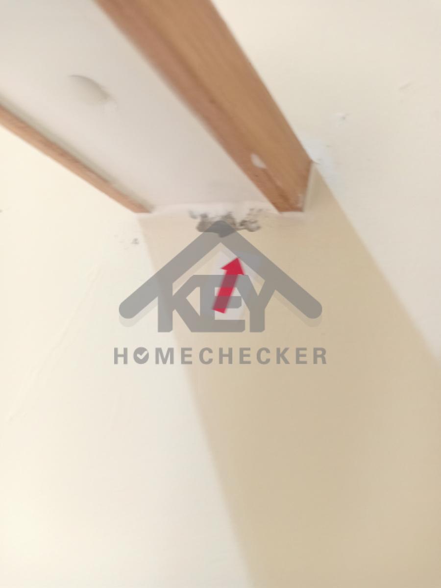 งานดาดฟ้าชั้น 2