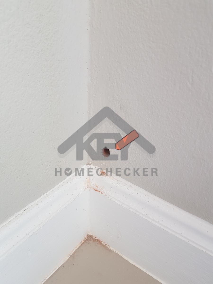 งานห้องโถง ห้องนั่งเล่น