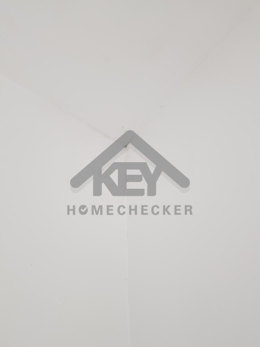 งานห้องโถง ห้องนั่งเล่น