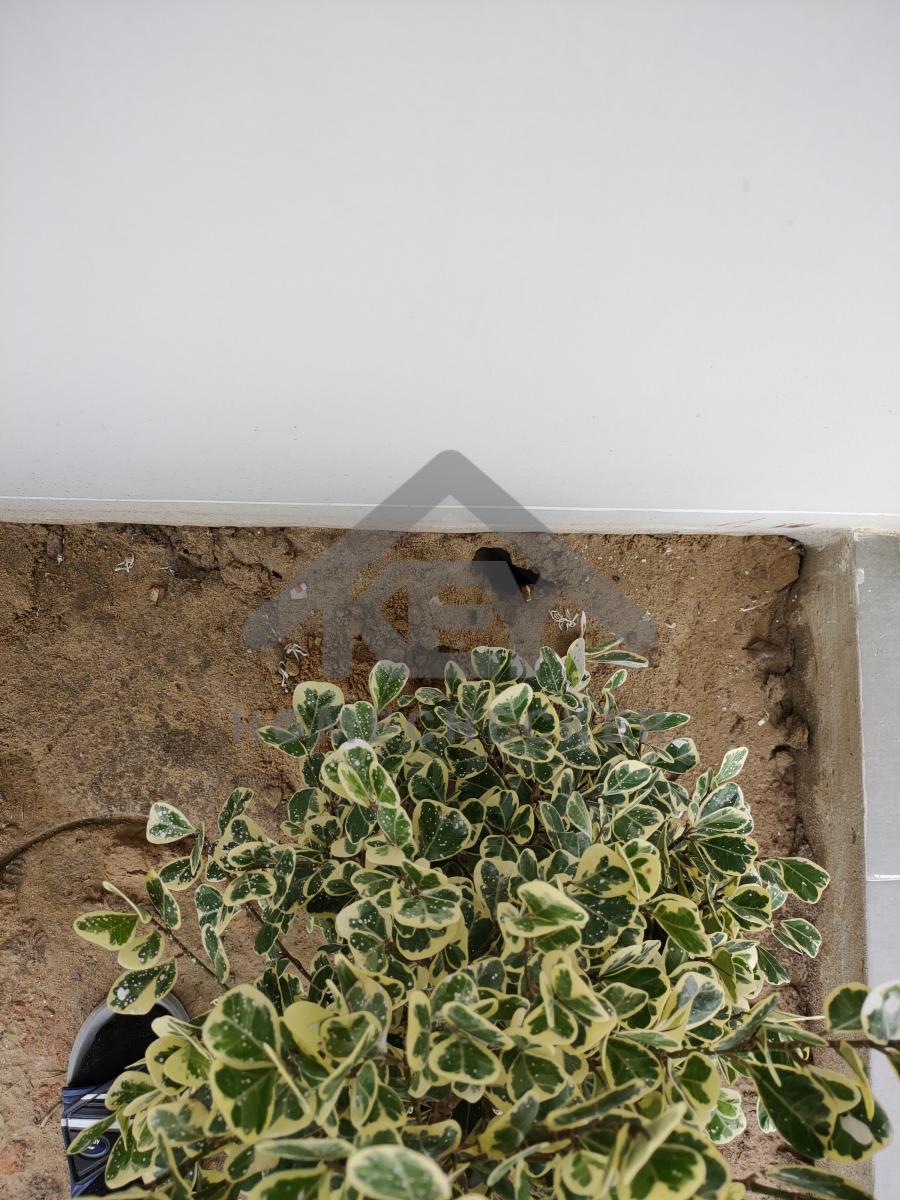 งานภูมิทัศน์และพื้นที่ภายนอกบ้าน