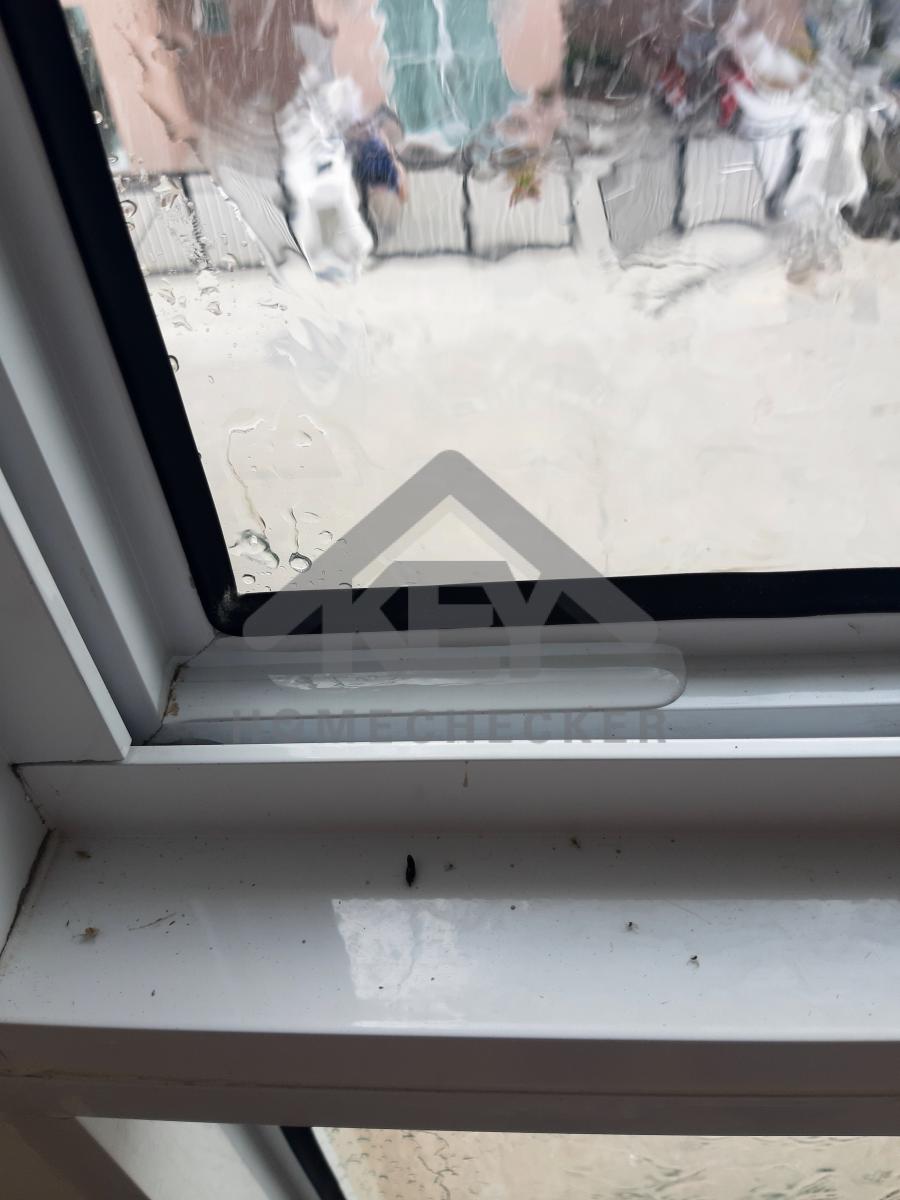 งานเทสน้ำ ประตูหน้าต่าง