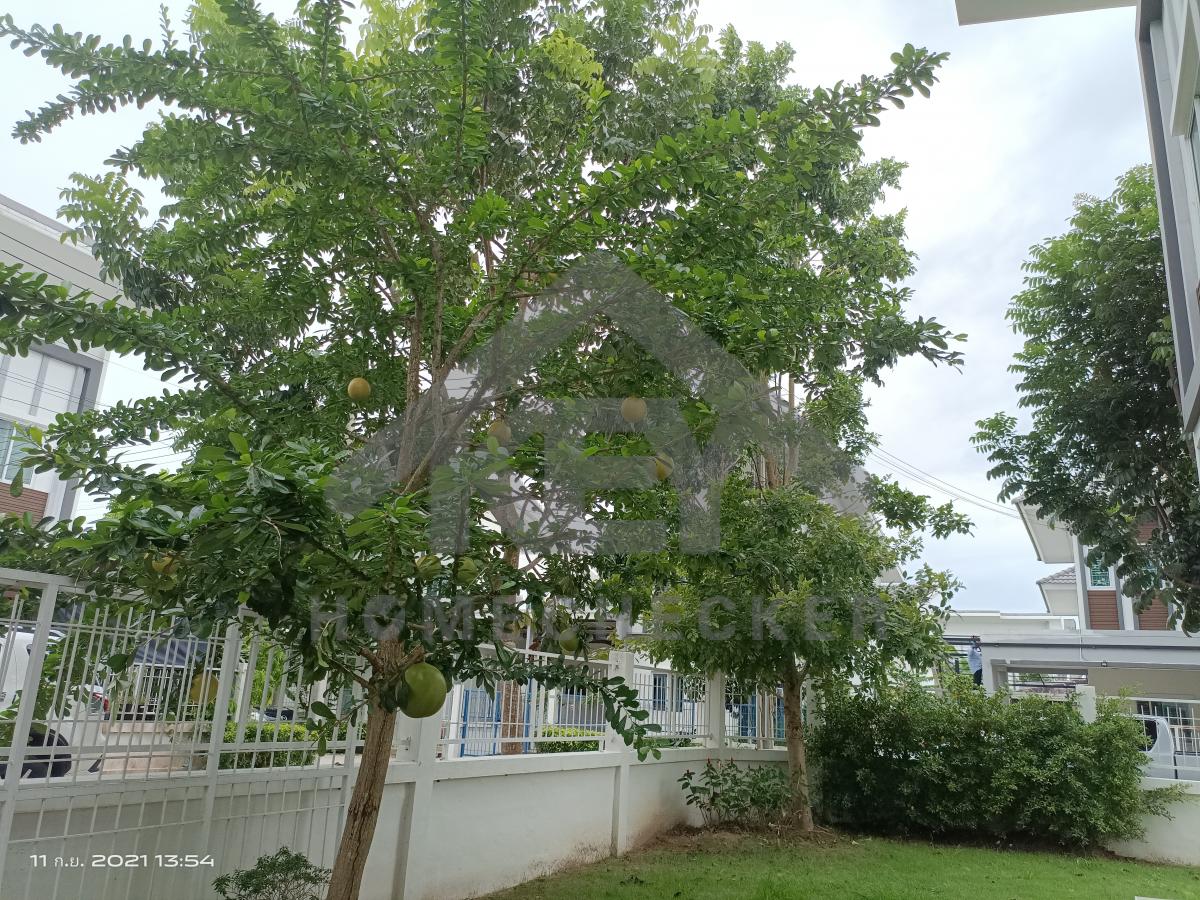 งานภูมิทัศน์และพื้นที่ภายนอกบ้าน