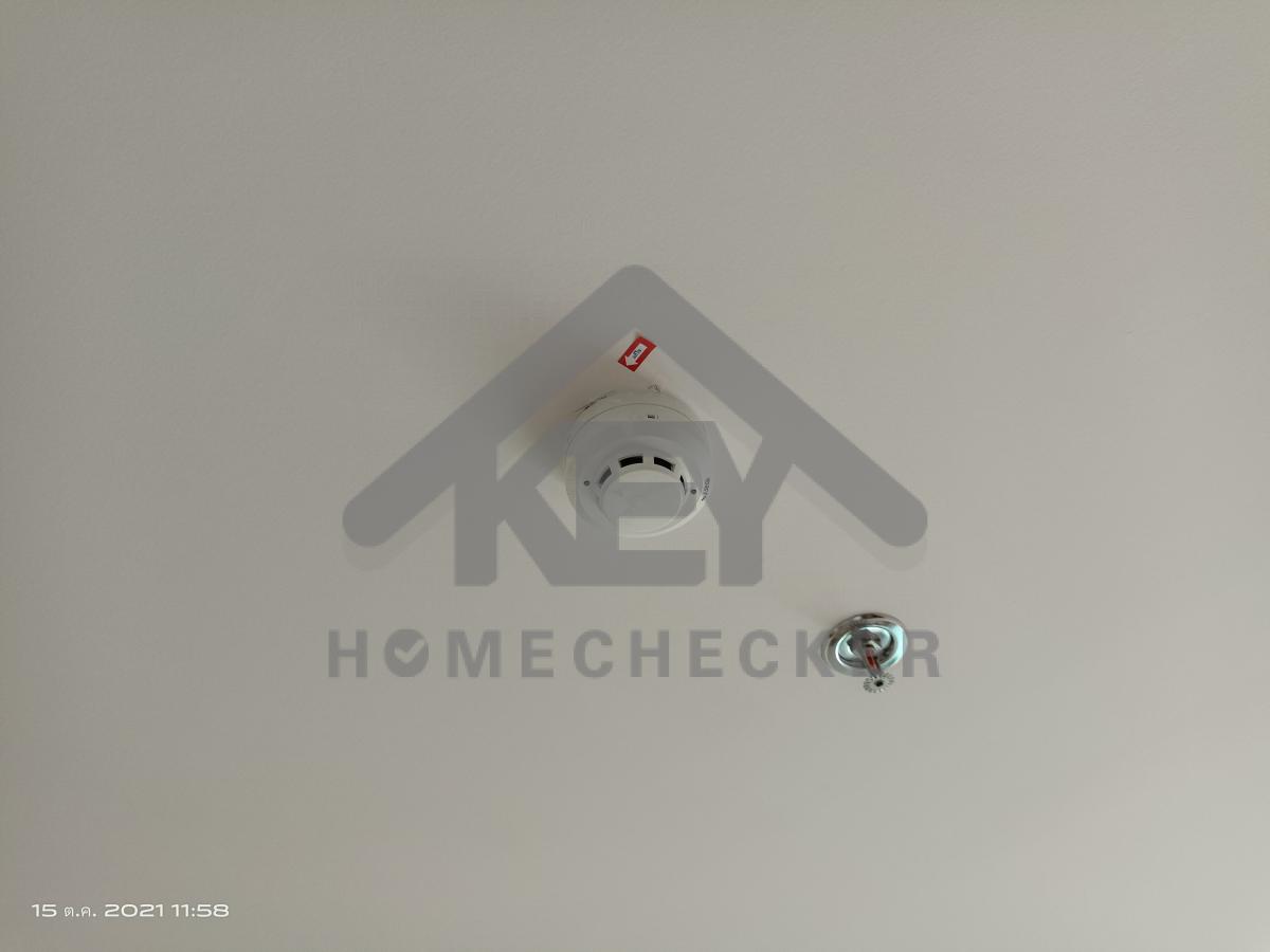 งานห้องโถง ห้องนั่งเล่น