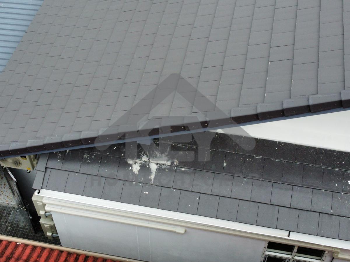 งานตรวจสอบหลังคา