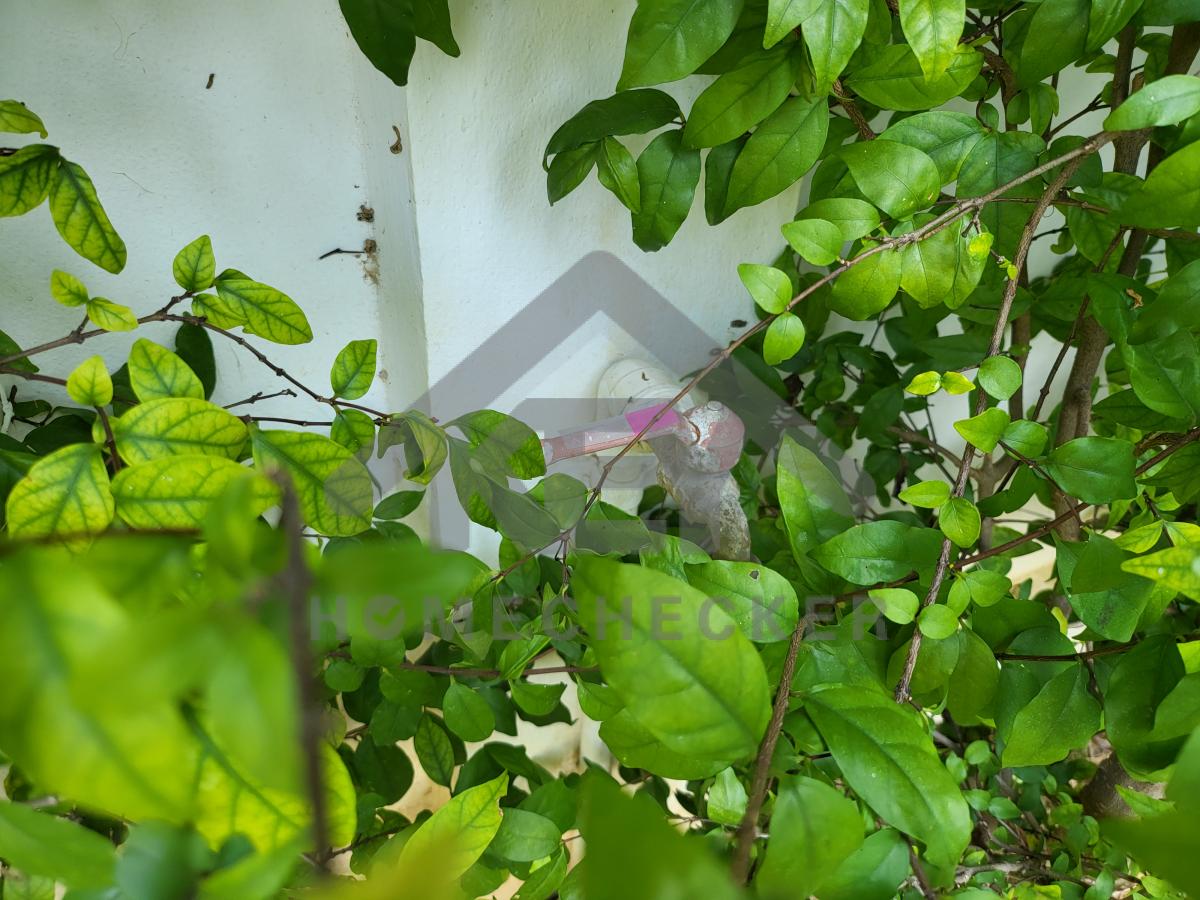 งานภูมิทัศน์และพื้นที่ภายนอกบ้าน