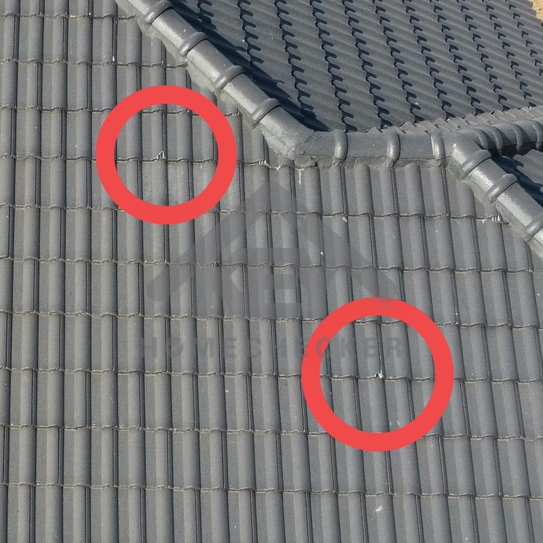 งานตรวจสอบหลังคา