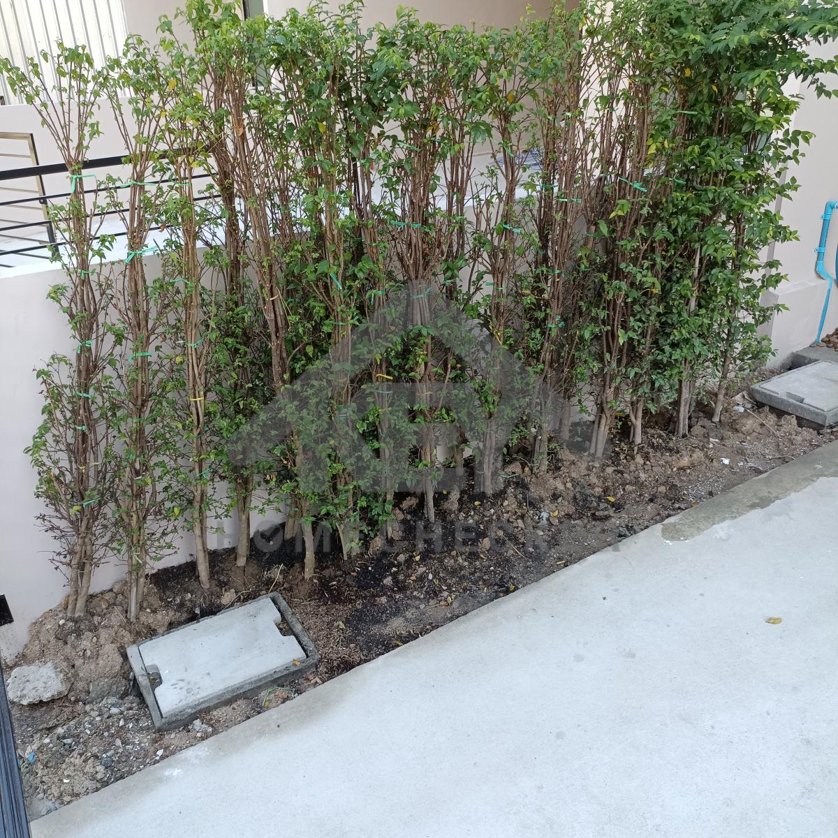 งานภูมิทัศน์และพื้นที่ภายนอกบ้าน