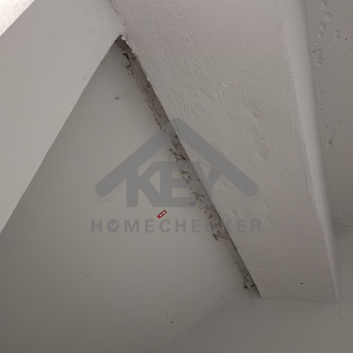 งานห้องโถง ห้องนั่งเล่น