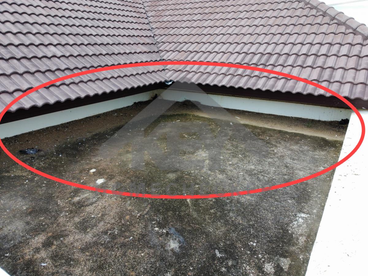 งานตรวจสอบหลังคา