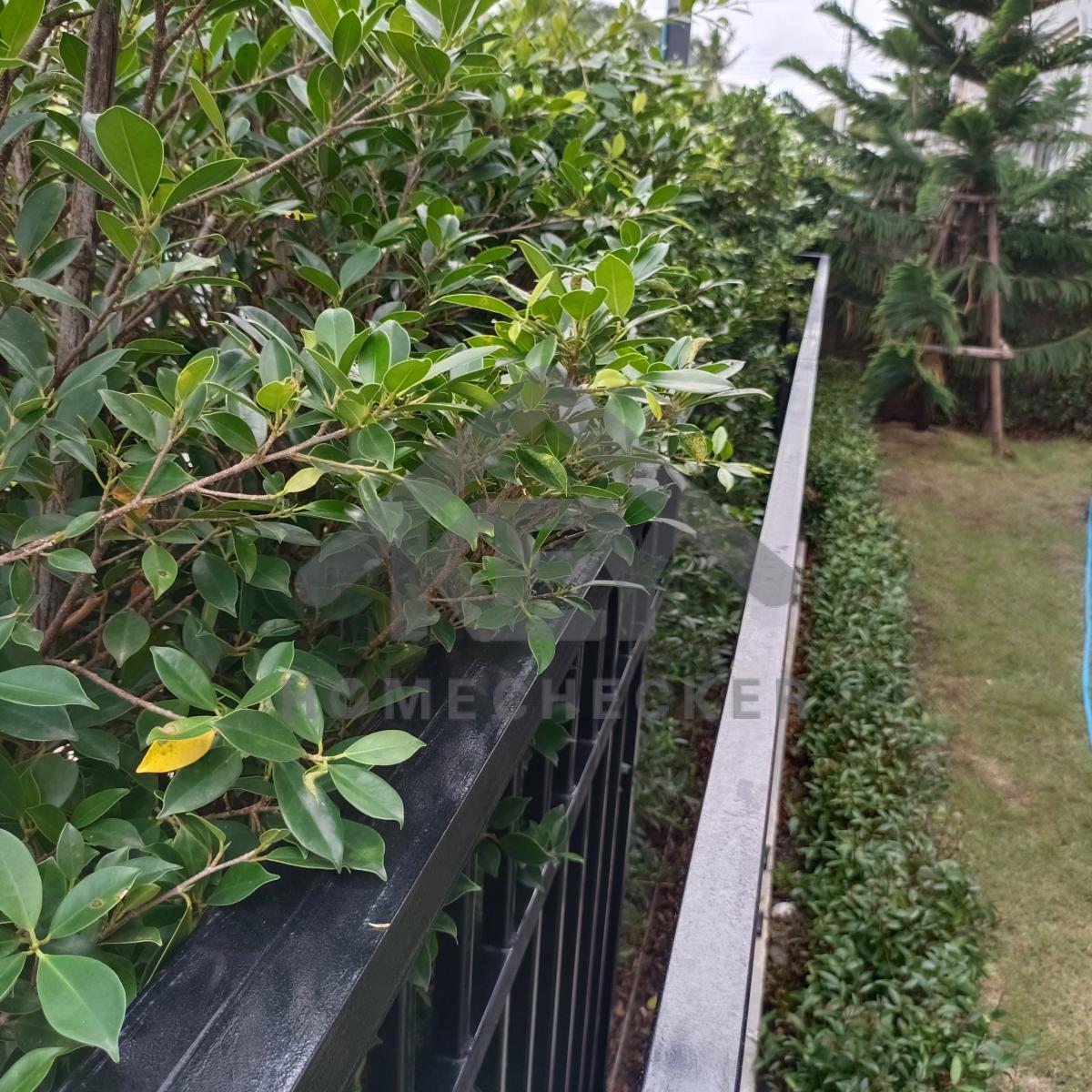 งานภูมิทัศน์และพื้นที่ภายนอกบ้าน