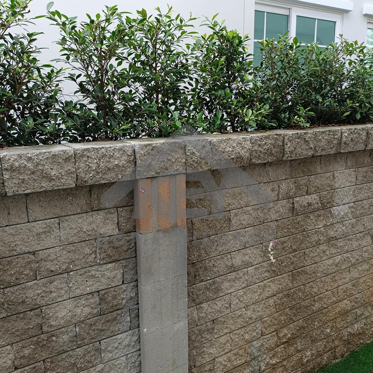 งานภูมิทัศน์และพื้นที่ภายนอกบ้าน