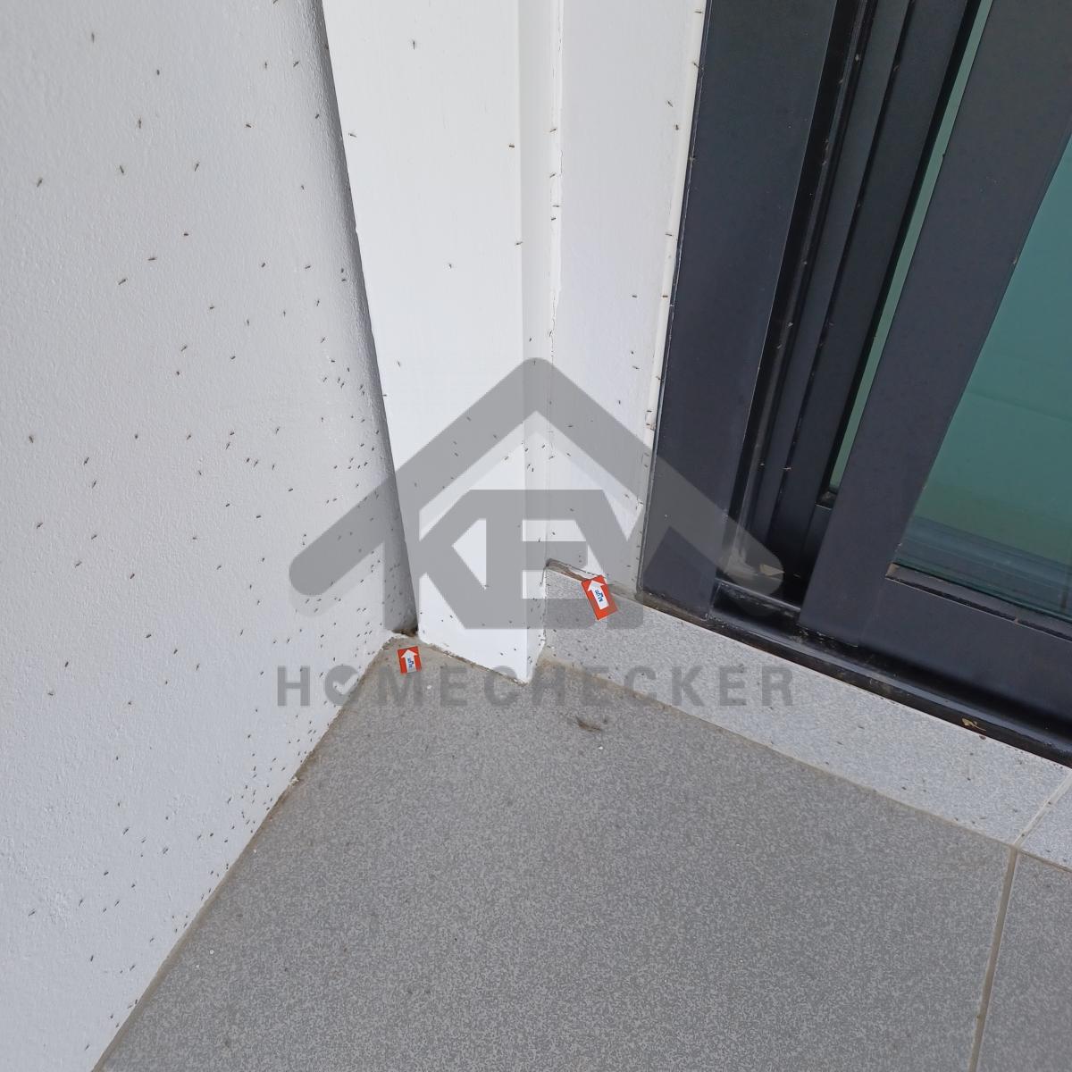 งานห้องโถง ห้องนั่งเล่น