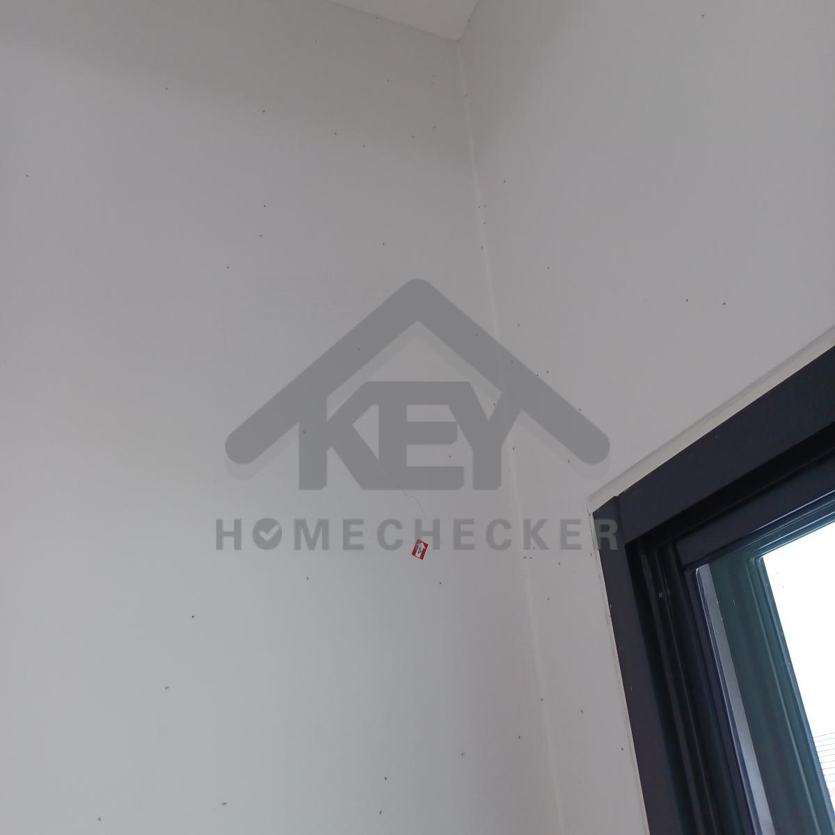 งานห้องโถง ห้องนั่งเล่น