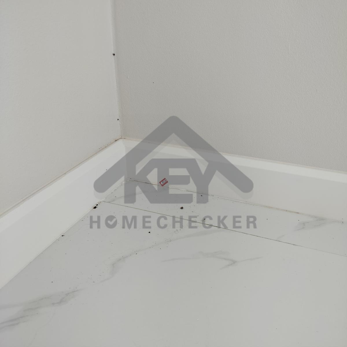 งานห้องโถง ห้องนั่งเล่น