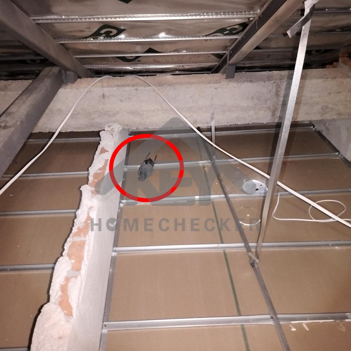 งานตรวจสอบหลังคา