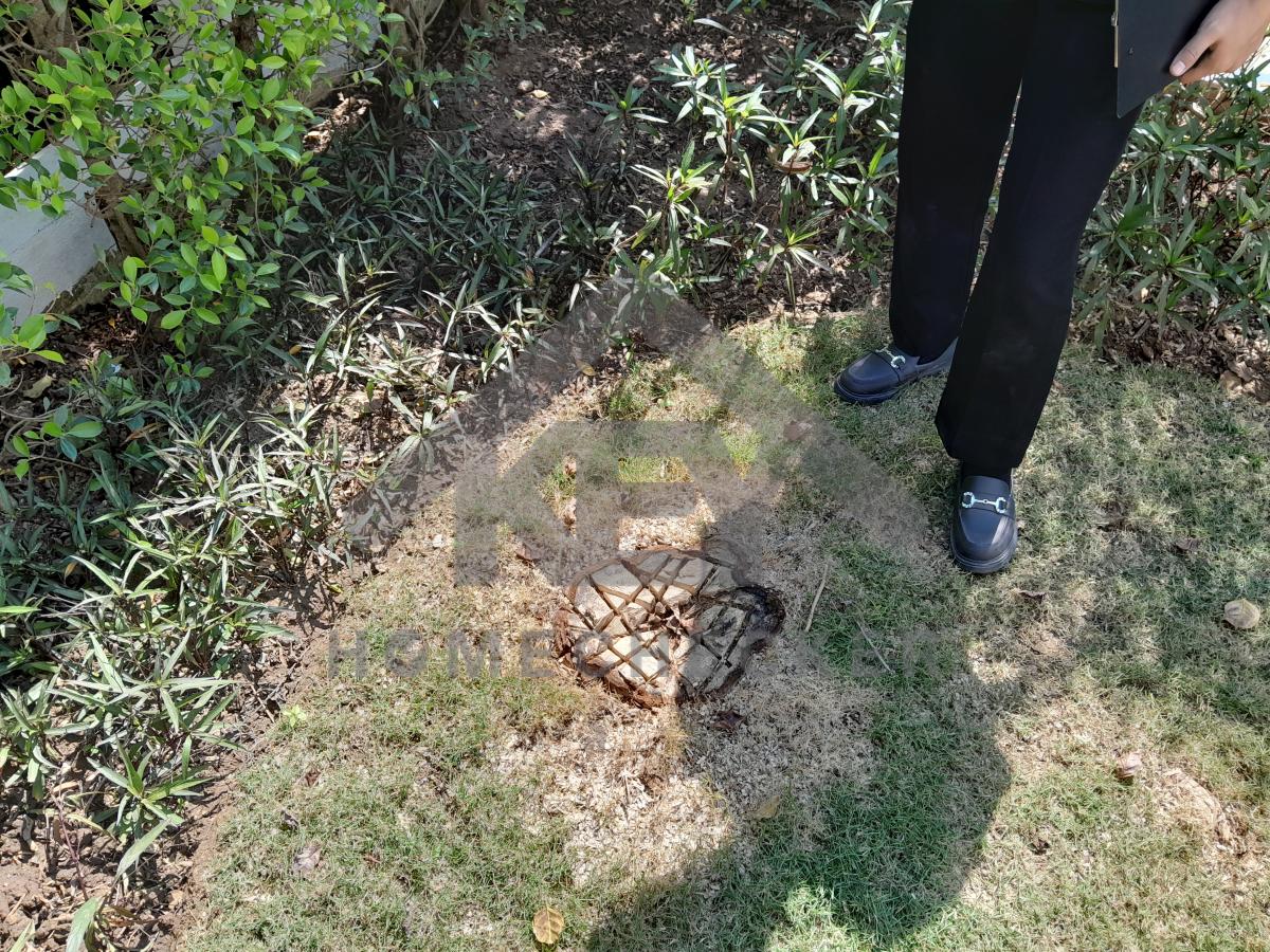 งานภูมิทัศน์และพื้นที่ภายนอกบ้าน