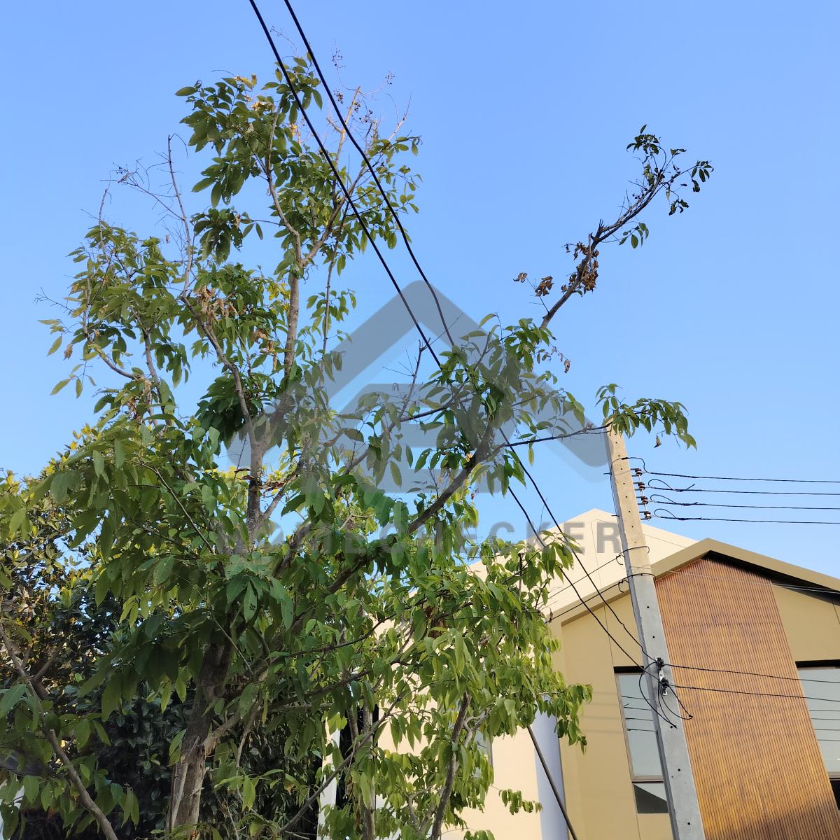 งานภูมิทัศน์และพื้นที่ภายนอกบ้าน