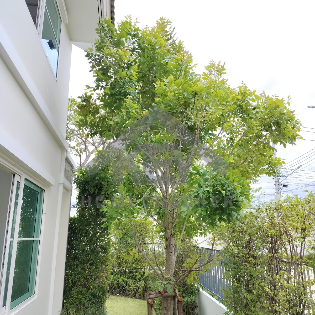 งานภูมิทัศน์และพื้นที่ภายนอกบ้าน