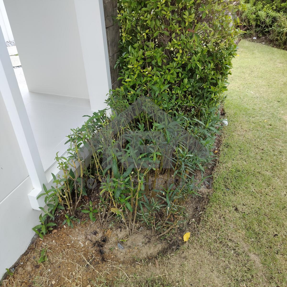 งานภูมิทัศน์และพื้นที่ภายนอกบ้าน