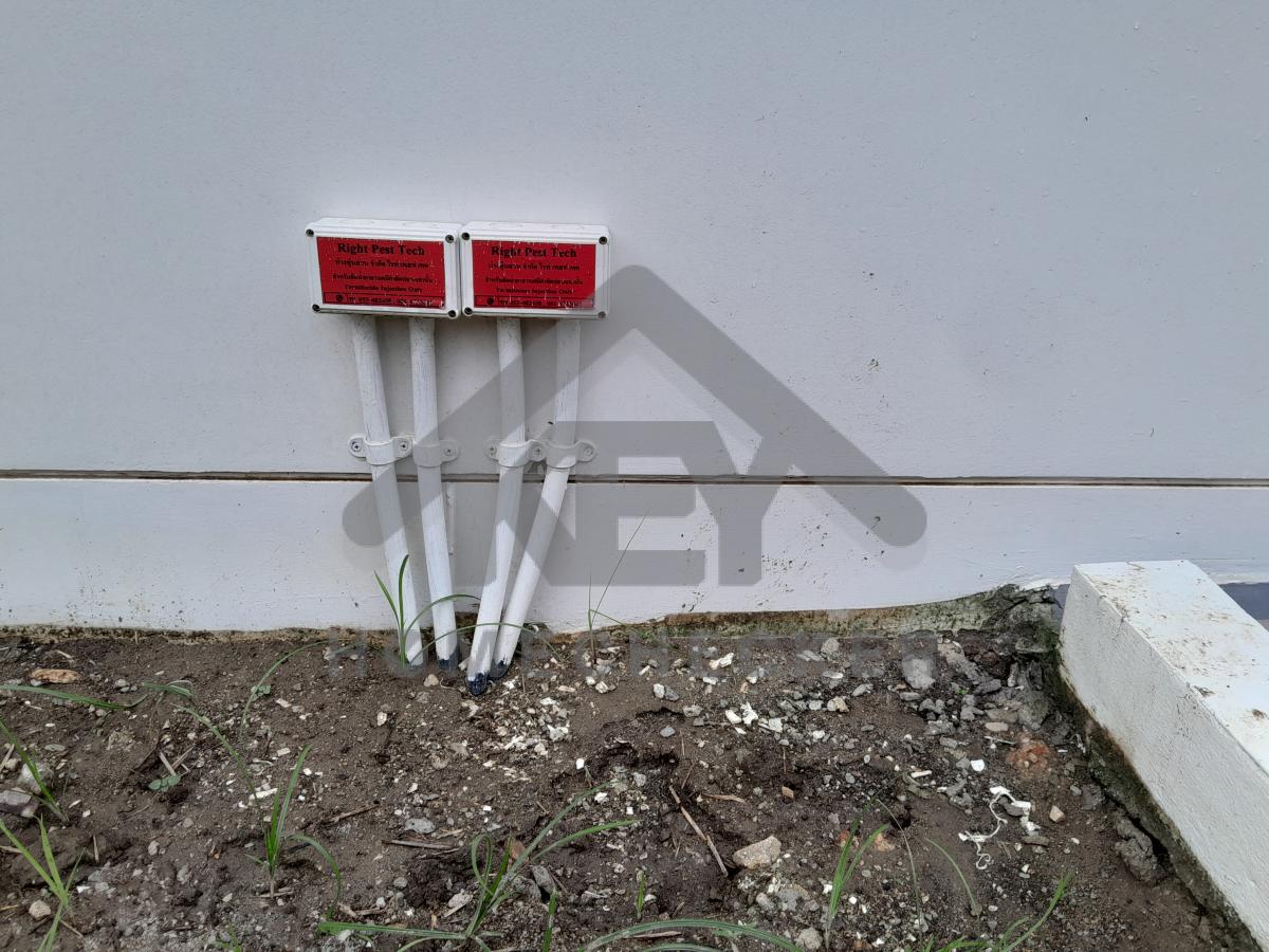 งานภูมิทัศน์และพื้นที่ภายนอกบ้าน