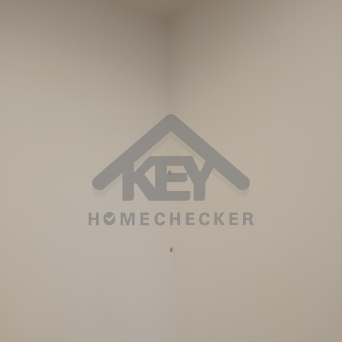 งานห้องโถง ห้องนั่งเล่น