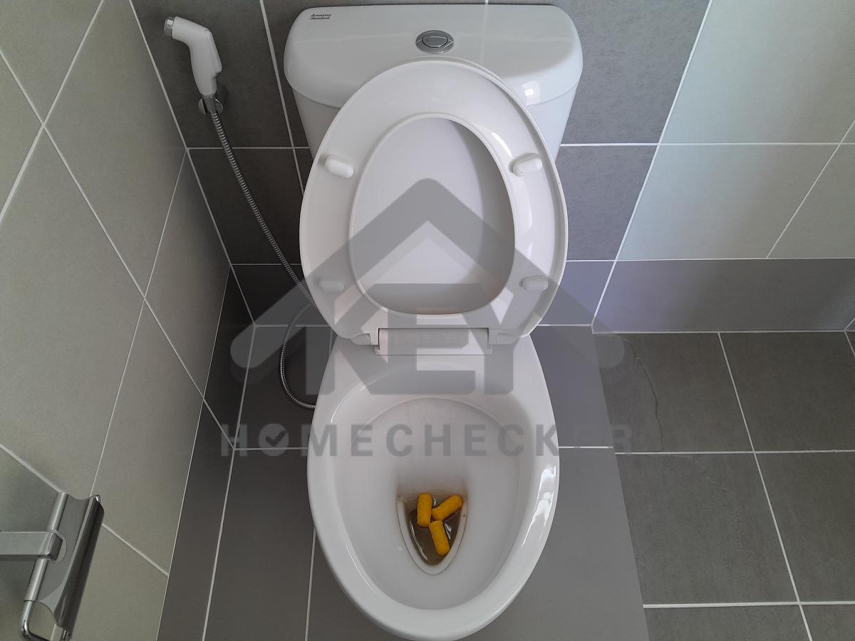 งานประปา ปั้ม และสุขาภิบาล