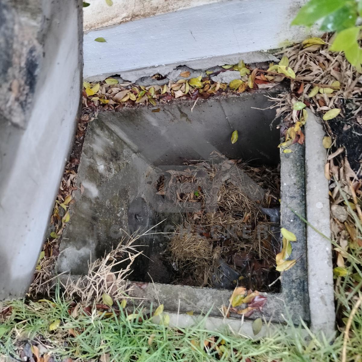 งานประปา ปั้ม และสุขาภิบาล