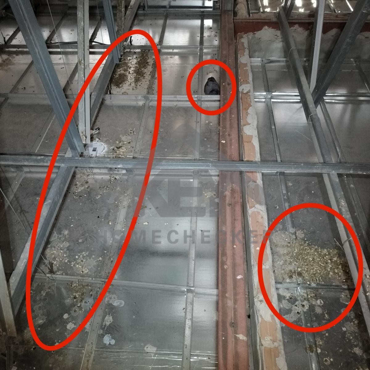 งานฝ้าชายคาและโครงฝ้า