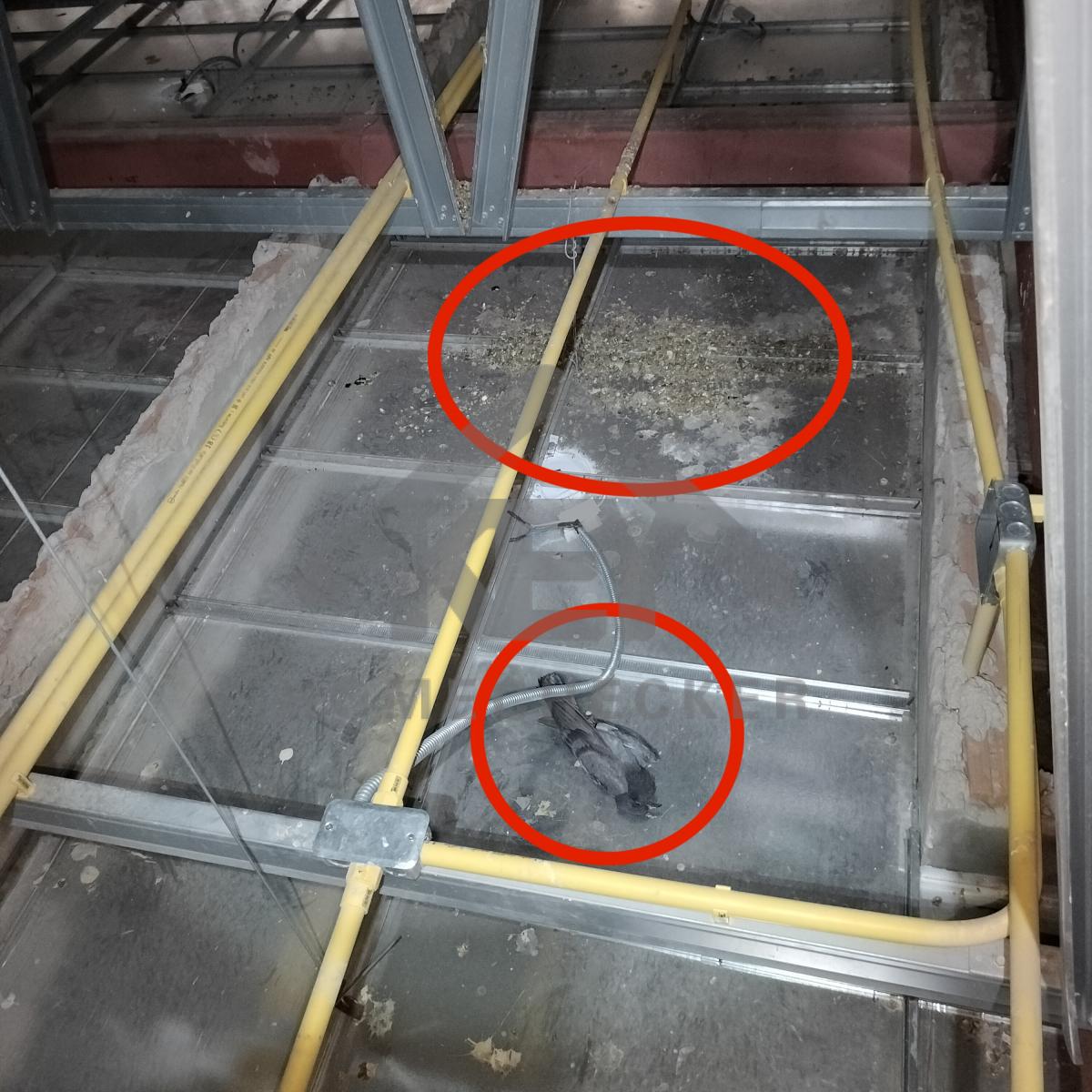 งานฝ้าชายคาและโครงฝ้า