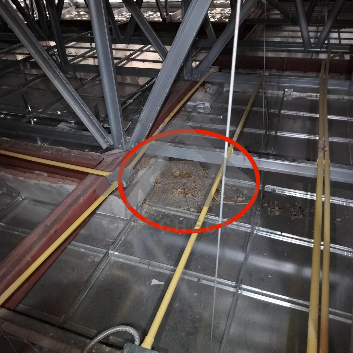 งานฝ้าชายคาและโครงฝ้า