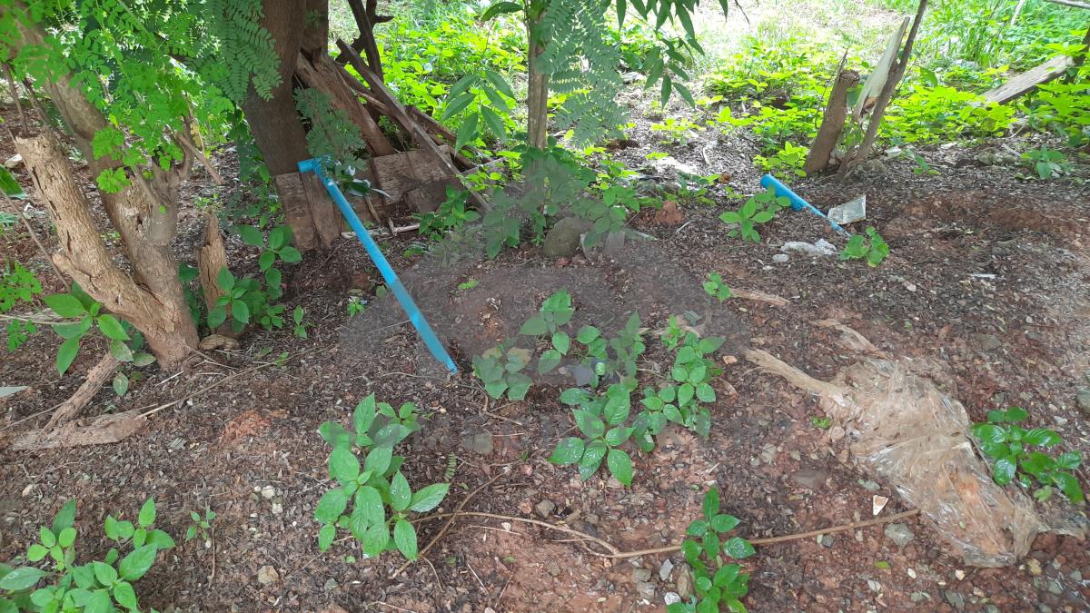 งานประปา ปั้ม และสุขาภิบาล