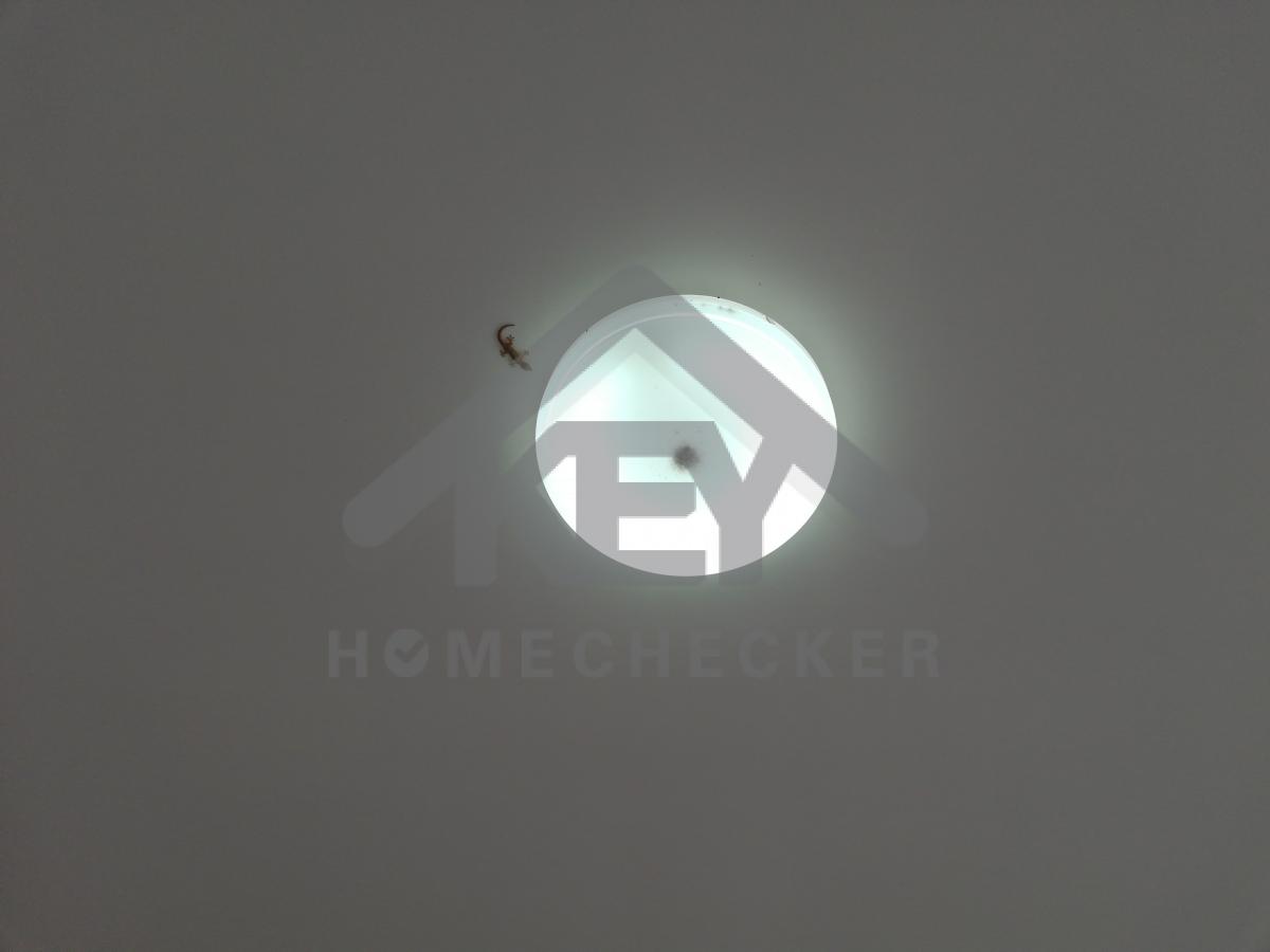 งานภูมิทัศน์และพื้นที่ภายนอกบ้าน