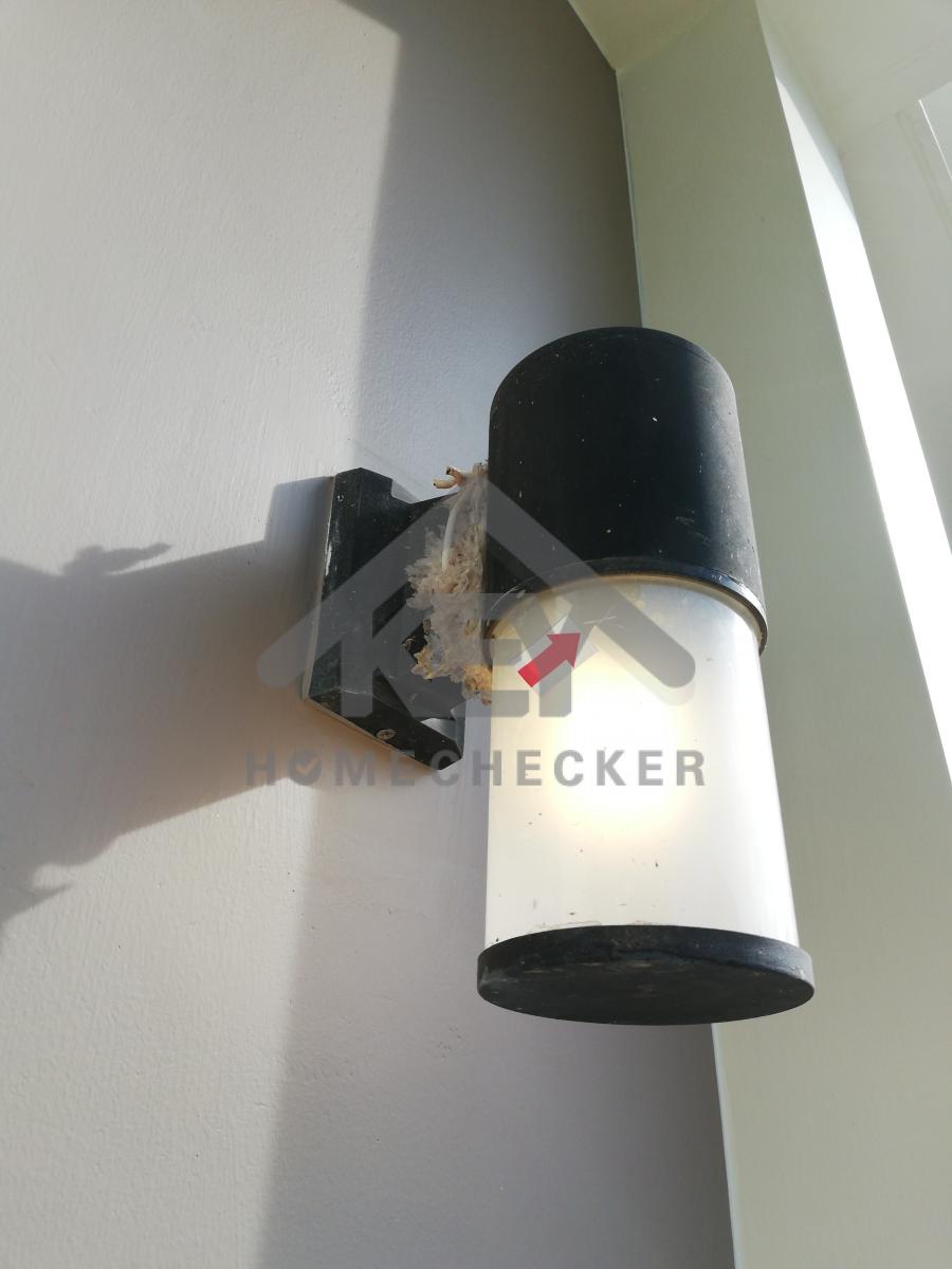 งานห้องโถง ห้องนั่งเล่น