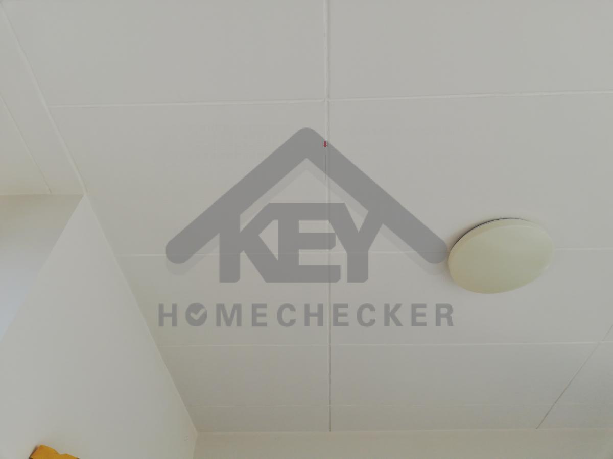 งานภูมิทัศน์และพื้นที่ภายนอกบ้าน