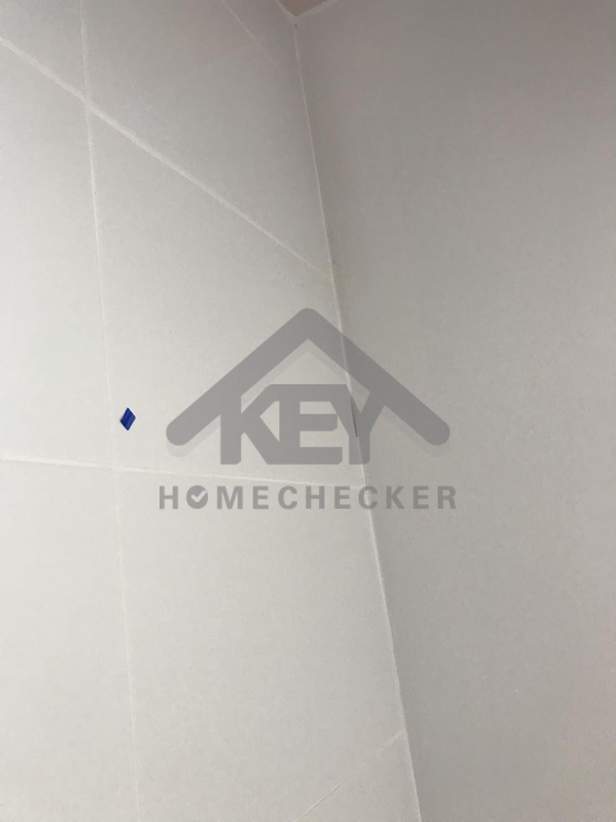 งานตรวจสอบหลังคา