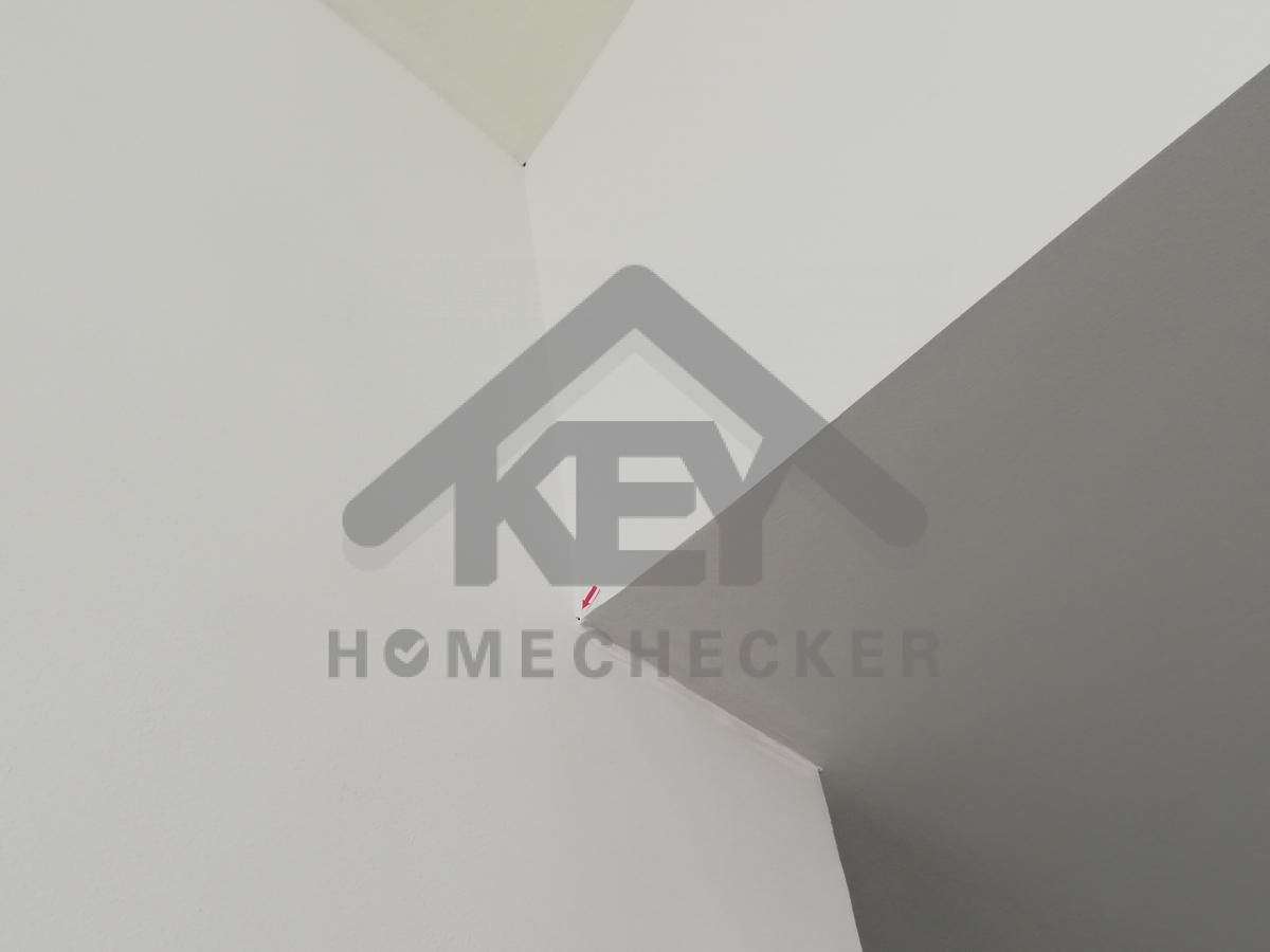 งานห้องโถง ห้องนั่งเล่น