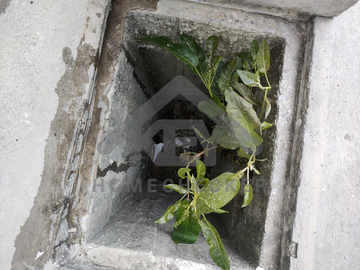 งานประปา ปั้ม และสุขาภิบาล