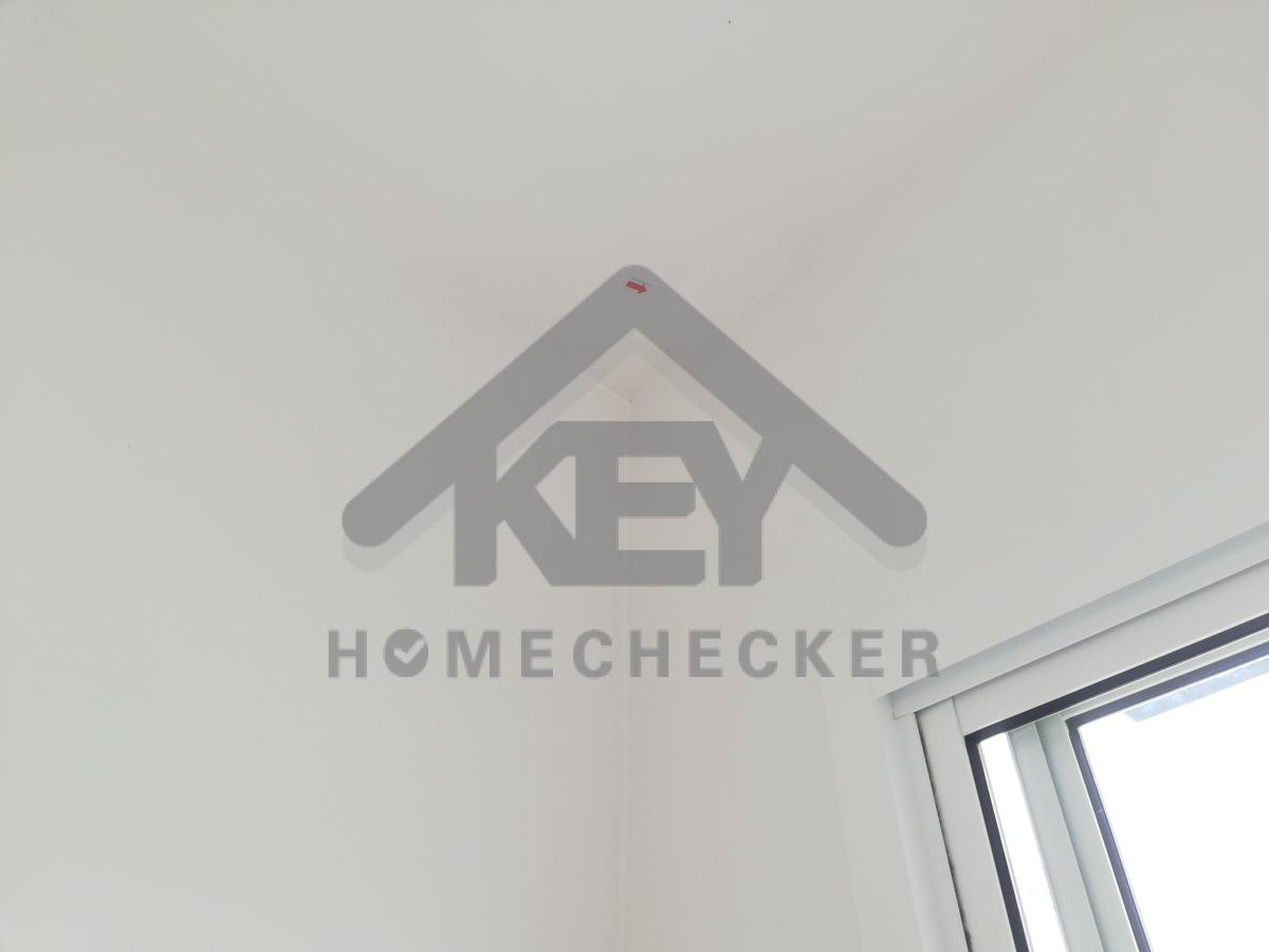 งานห้องโถง ห้องนั่งเล่น