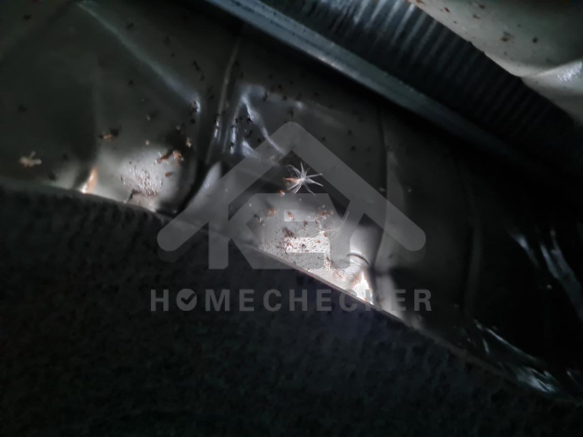 งานตรวจสอบหลังคา