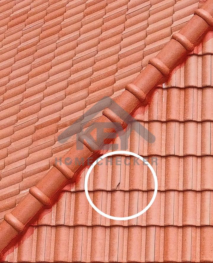 งานตรวจสอบหลังคา