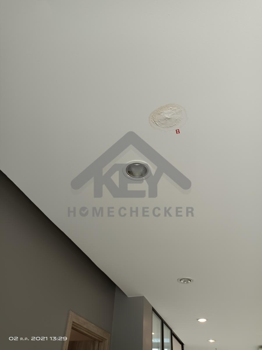 งานห้องโถง ห้องนั่งเล่น