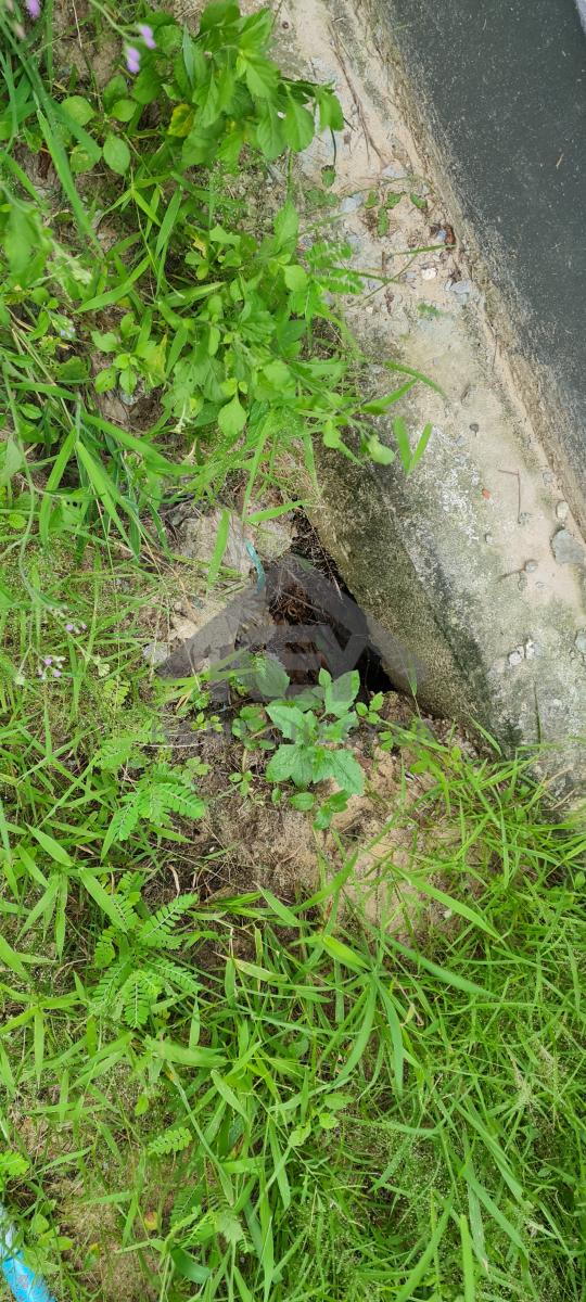 งานภูมิทัศน์และพื้นที่ภายนอกบ้าน