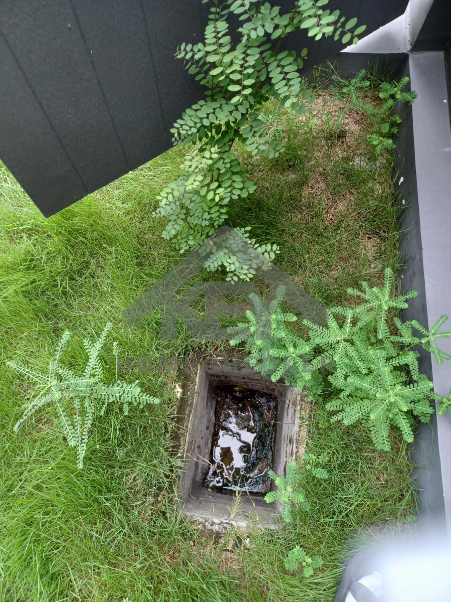 งานภูมิทัศน์และพื้นที่ภายนอกบ้าน