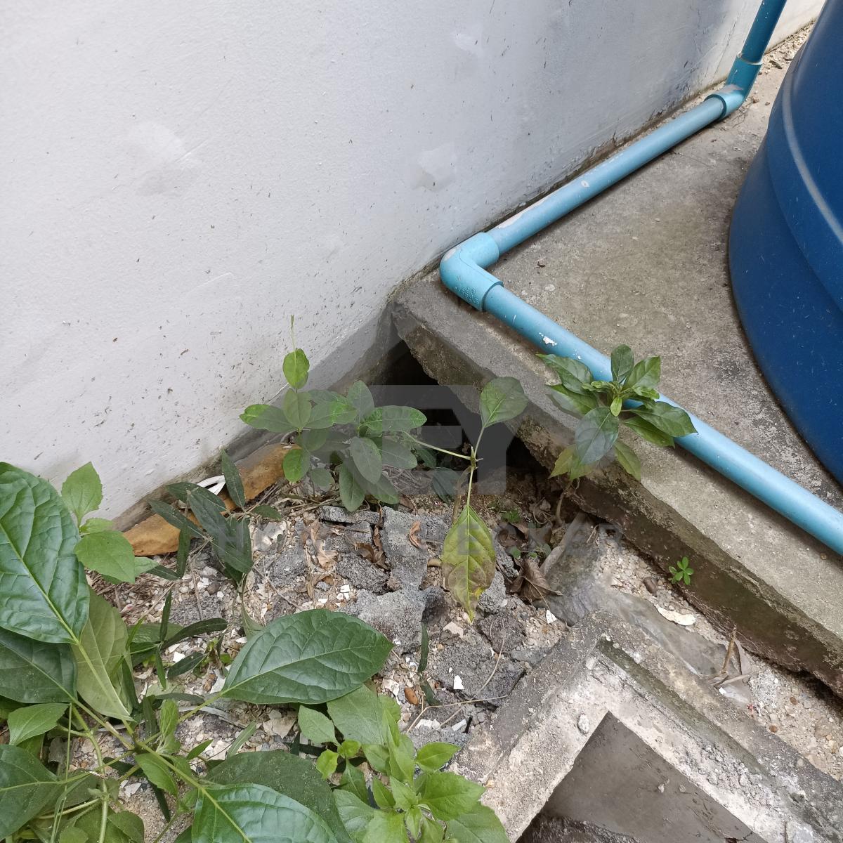 งานภูมิทัศน์และพื้นที่ภายนอกบ้าน