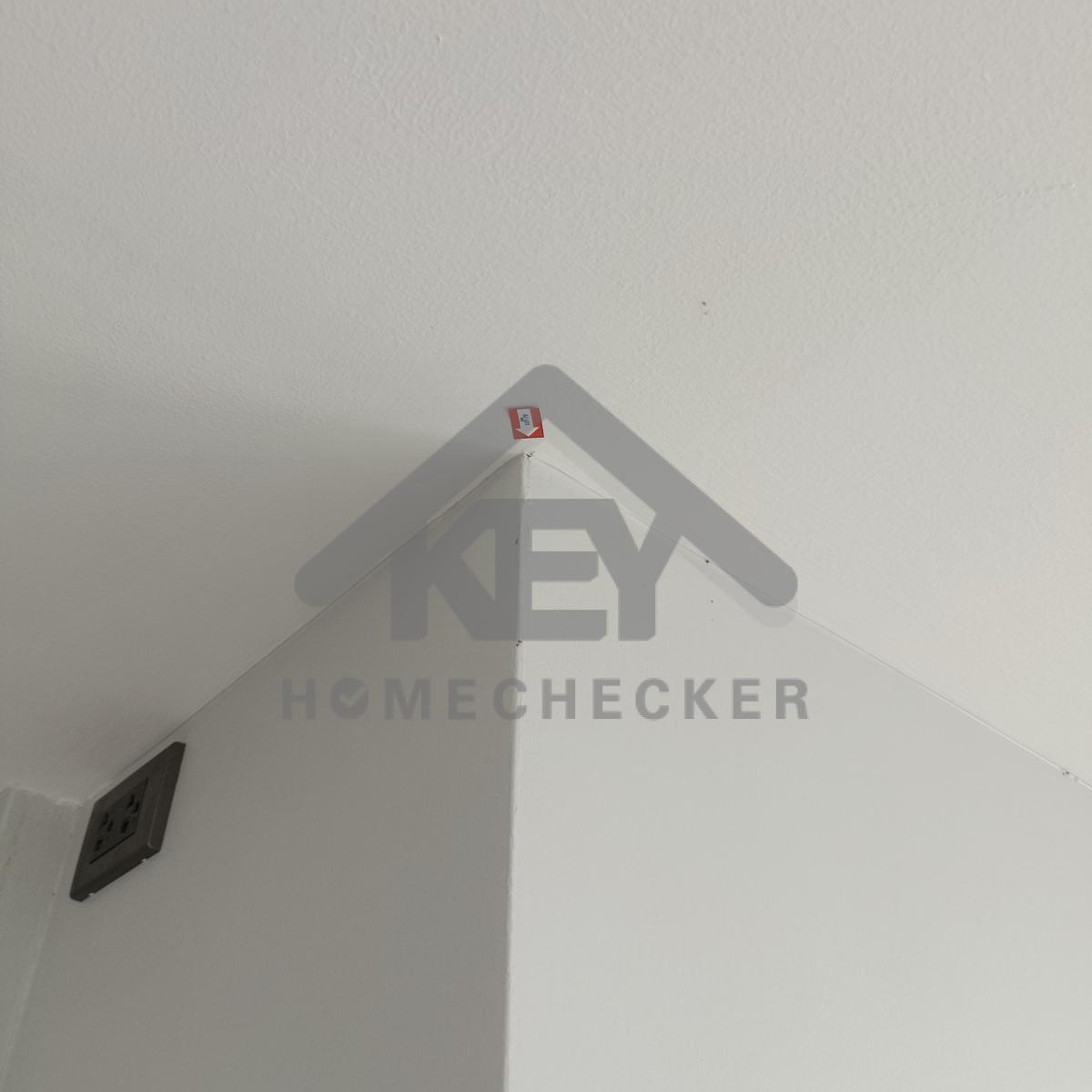 งานห้องโถง ห้องนั่งเล่น