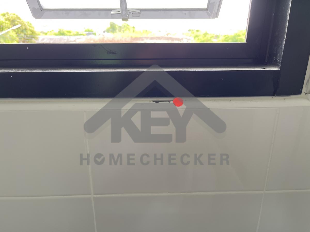 งานห้องน้ำชั้น 2 (1)