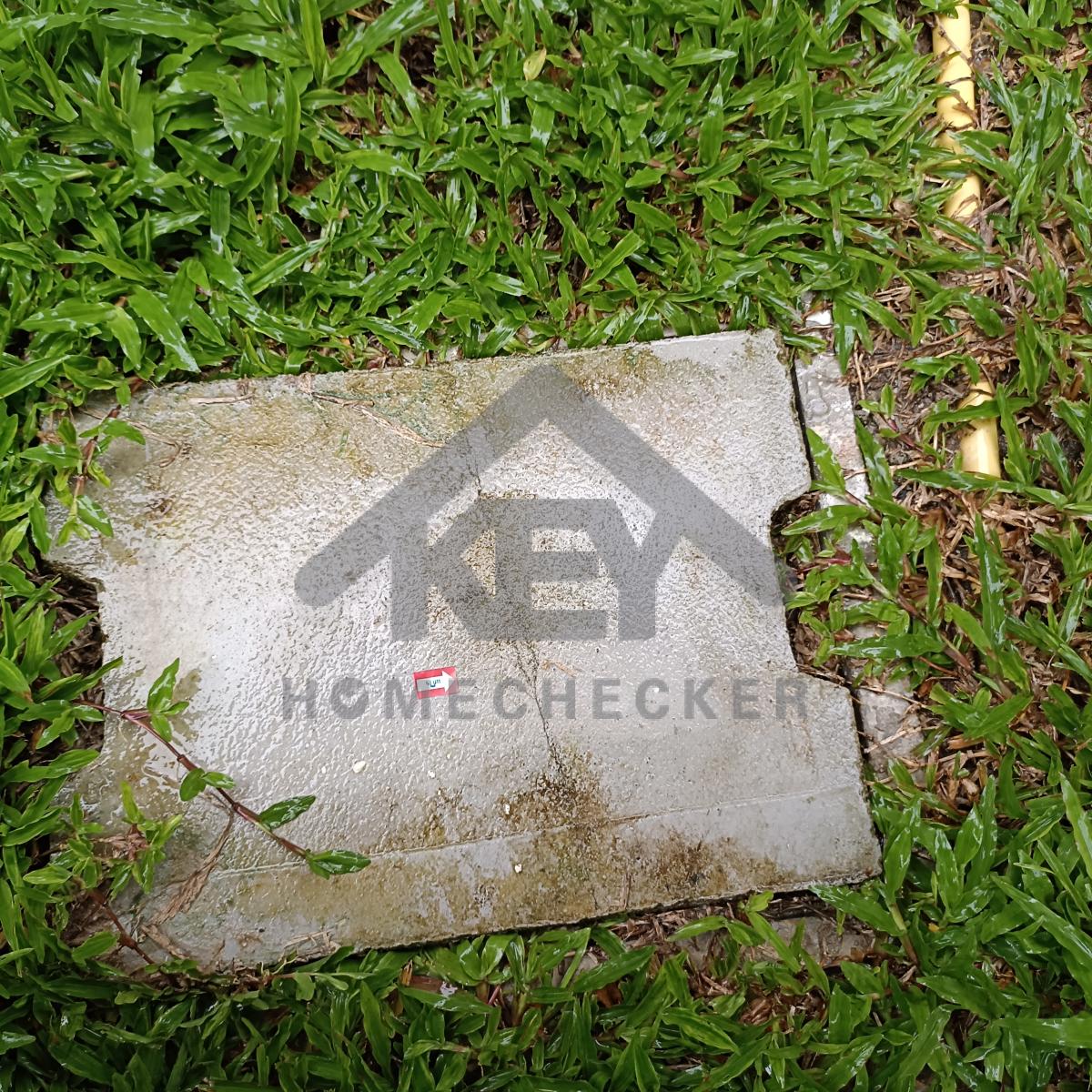 งานประปา ปั้ม และสุขาภิบาล